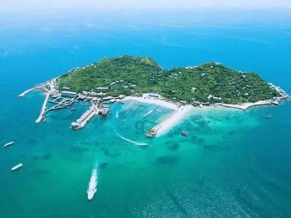 逆水寒